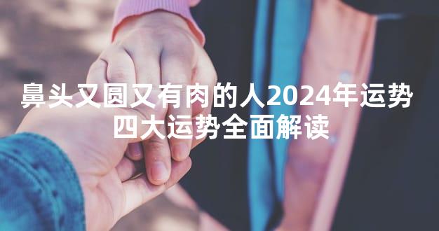 鼻头又圆又有肉的人2024年运势 四大运势全面解读